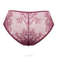 Sheer Mesh Lace Low Rise Bikini Panty Caro-2