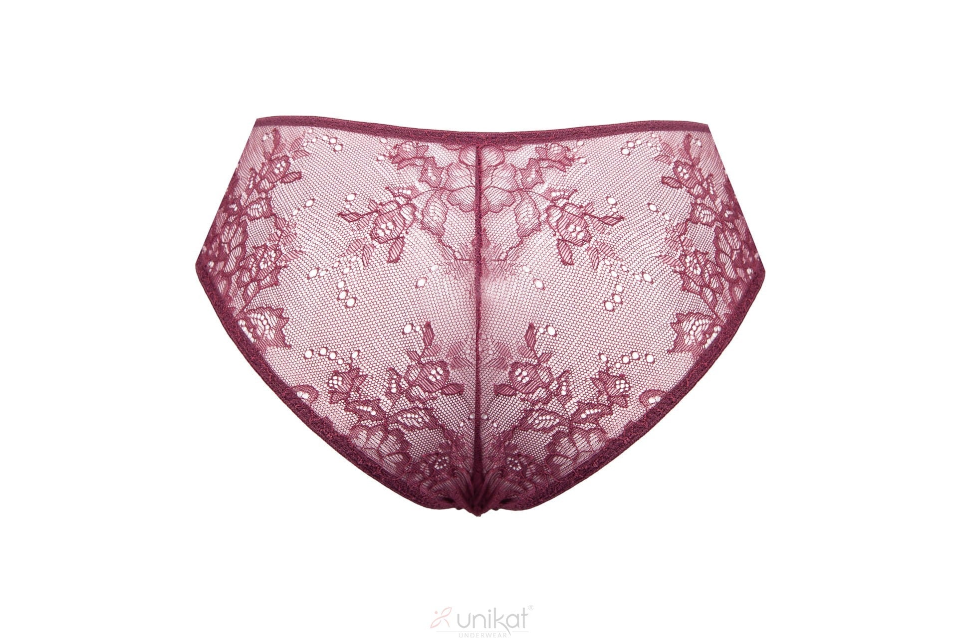 Sheer Mesh Lace Low Rise Bikini Panty Caro-2