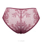 Unikat Caro Sheer Mesh Lace Low Rise Bikini Panty-2