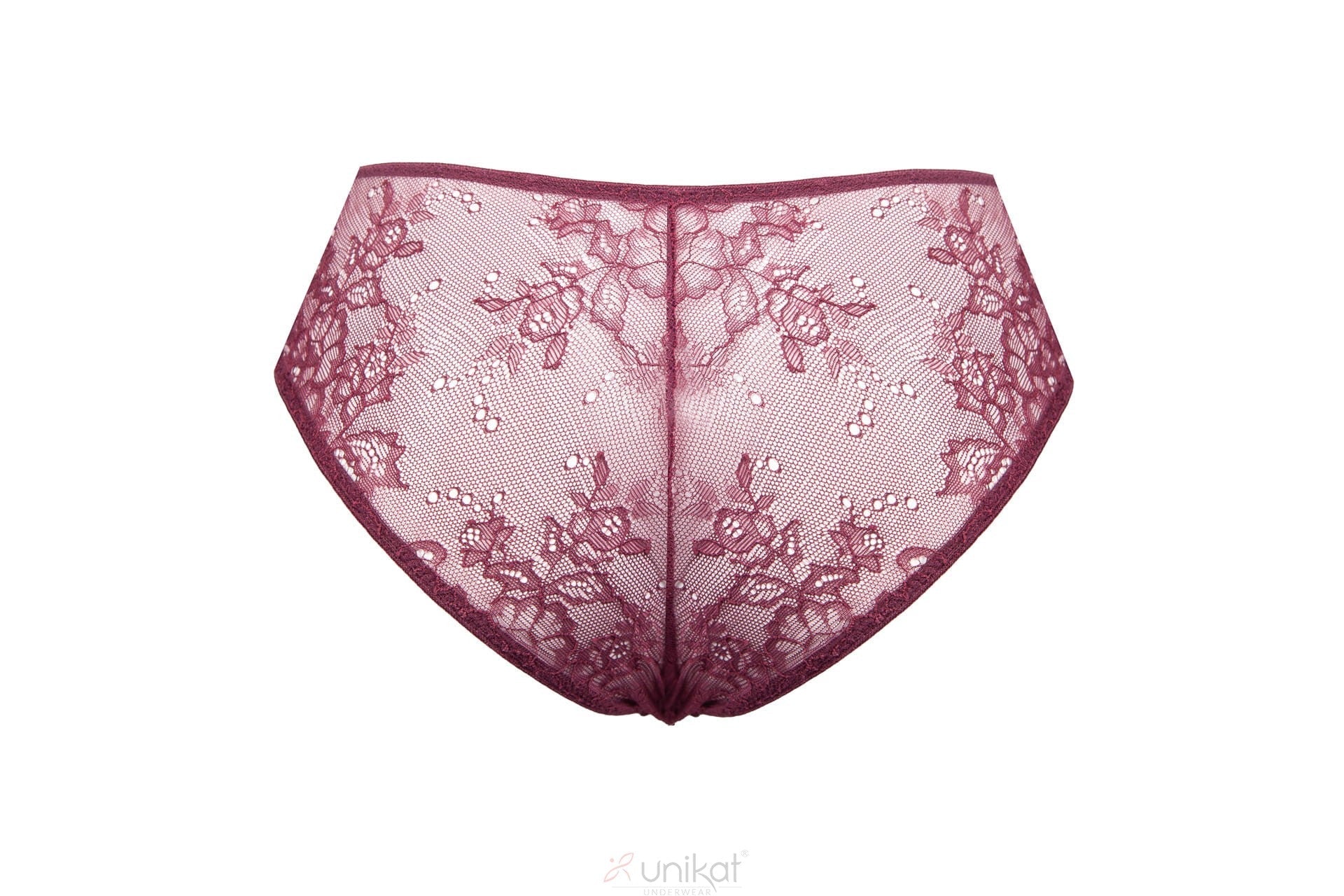 Unikat Caro Sheer Mesh Lace Low Rise Bikini Panty-2