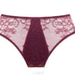 Sheer Mesh Lace Low Rise Bikini Panty Caro-1