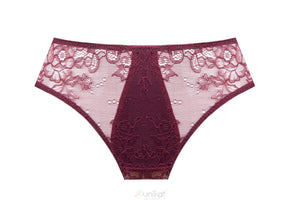 Sheer Mesh Lace Low Rise Bikini Panty Caro-1