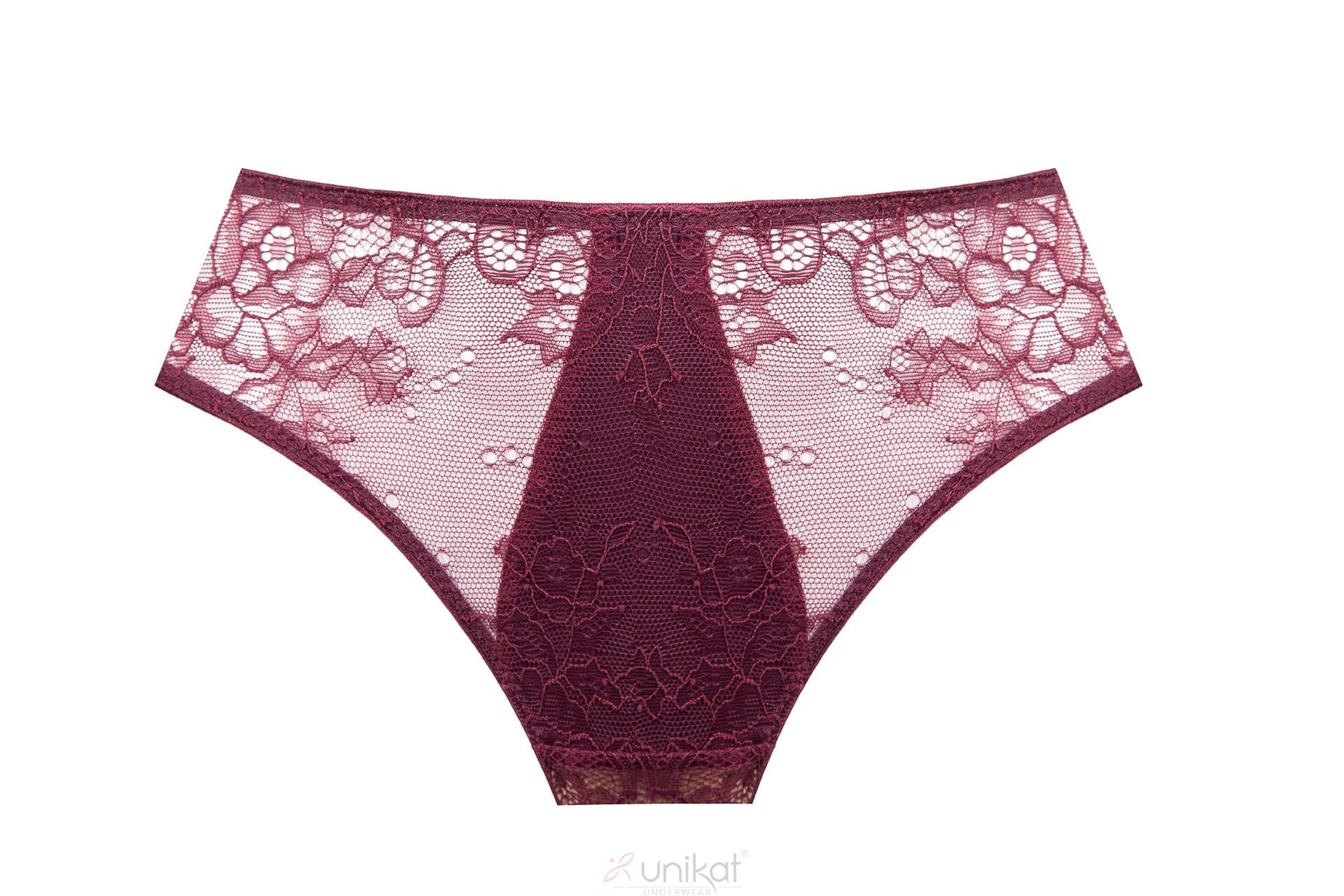 Unikat Caro Sheer Mesh Lace Low Rise Bikini Panty-1