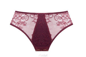 Unikat Caro Sheer Mesh Lace Low Rise Bikini Panty-1