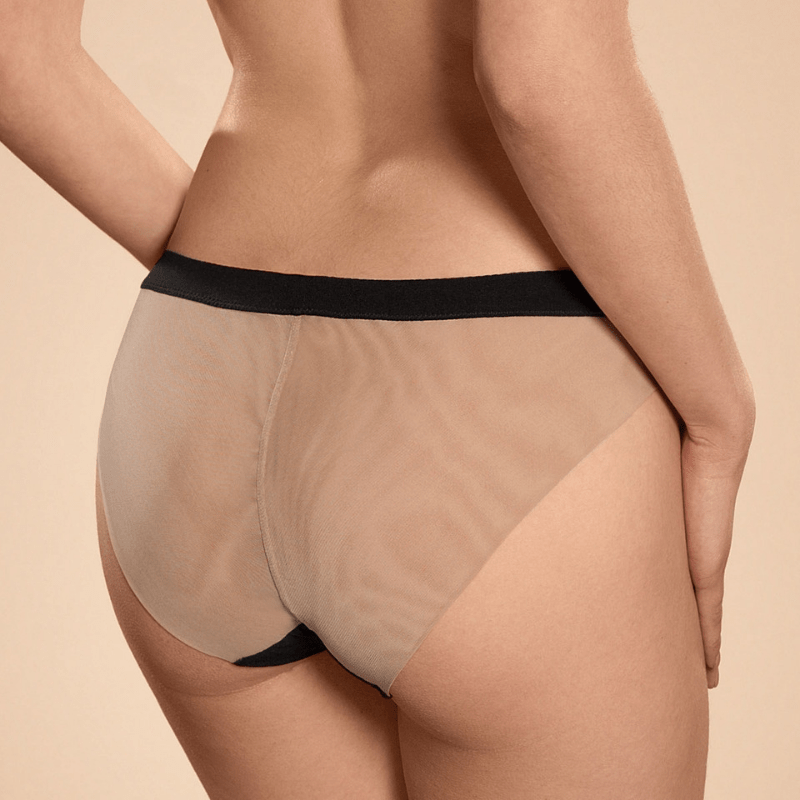 Ajour Massimo Sheer Mesh Bikini Panty-1