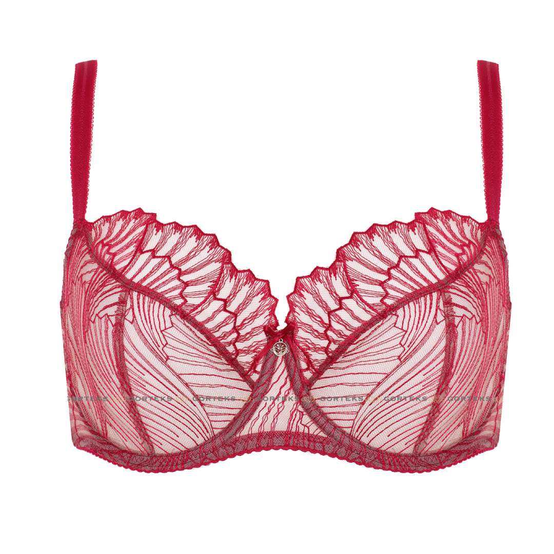 Gorteks Sierra Sheer Mesh Embroidery Full Coverage Bra-3