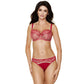 Gorteks Sierra Sheer Mesh Embroidery Full Coverage Bra