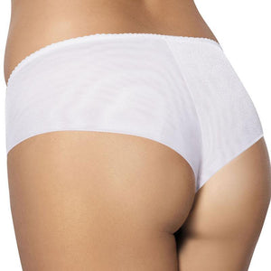 Kinga Michelle Soft Semi Sheer Hipster Panty-1