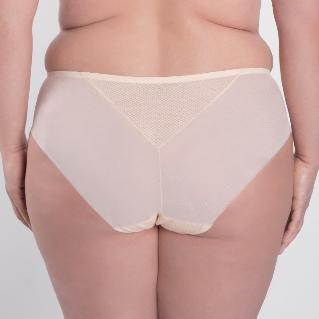 Samanta Valeria Biscuit Sheer Mesh Tulle Embroidered Brief Panty-1