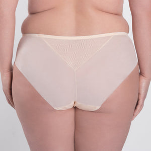 Samanta Valeria Biscuit Sheer Mesh Tulle Embroidered Brief Panty-1