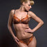 Sheer French Cut Thong Panty Lavinia Wildfire-0
