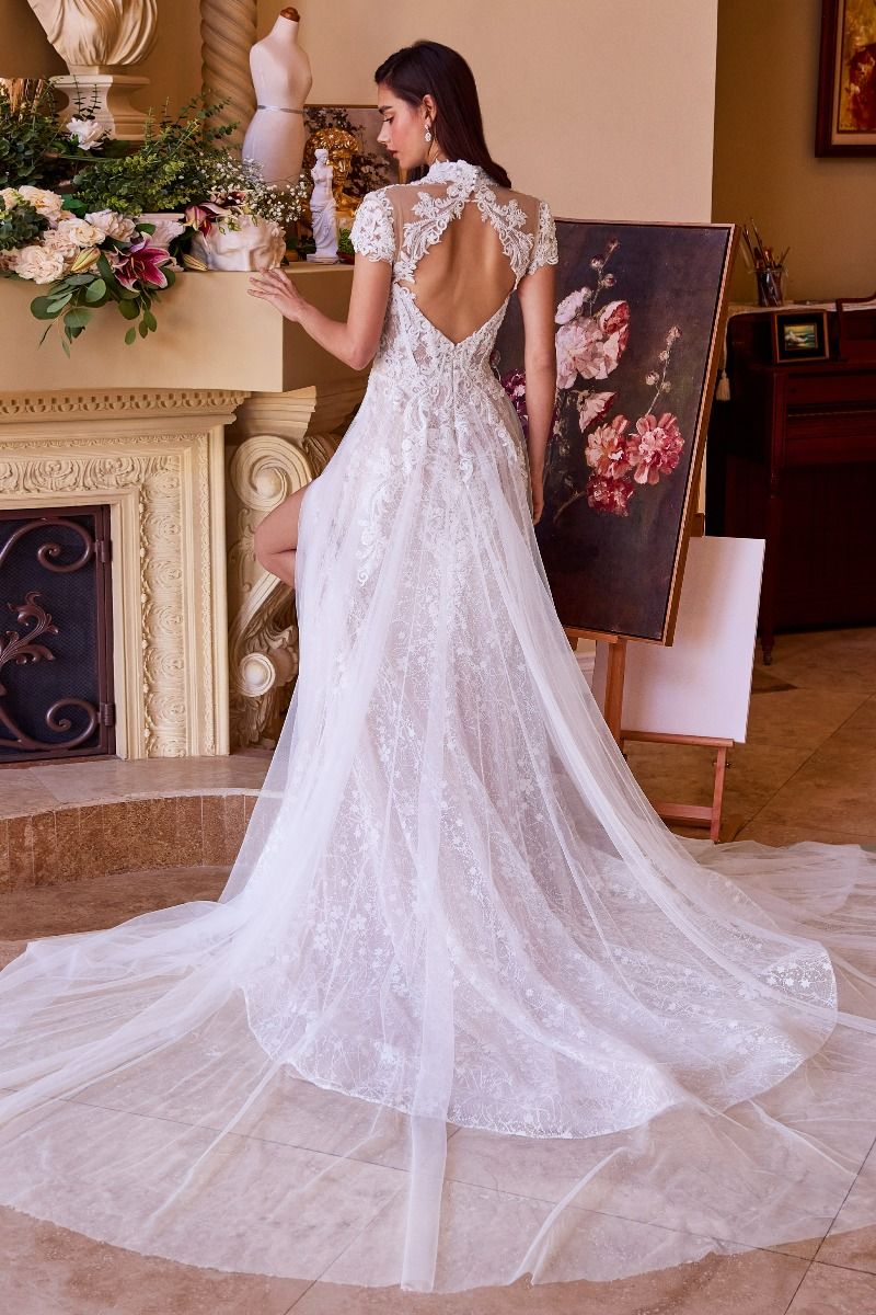 Lace & Tulle Short Sleeve Wedding Gown - Farnelli