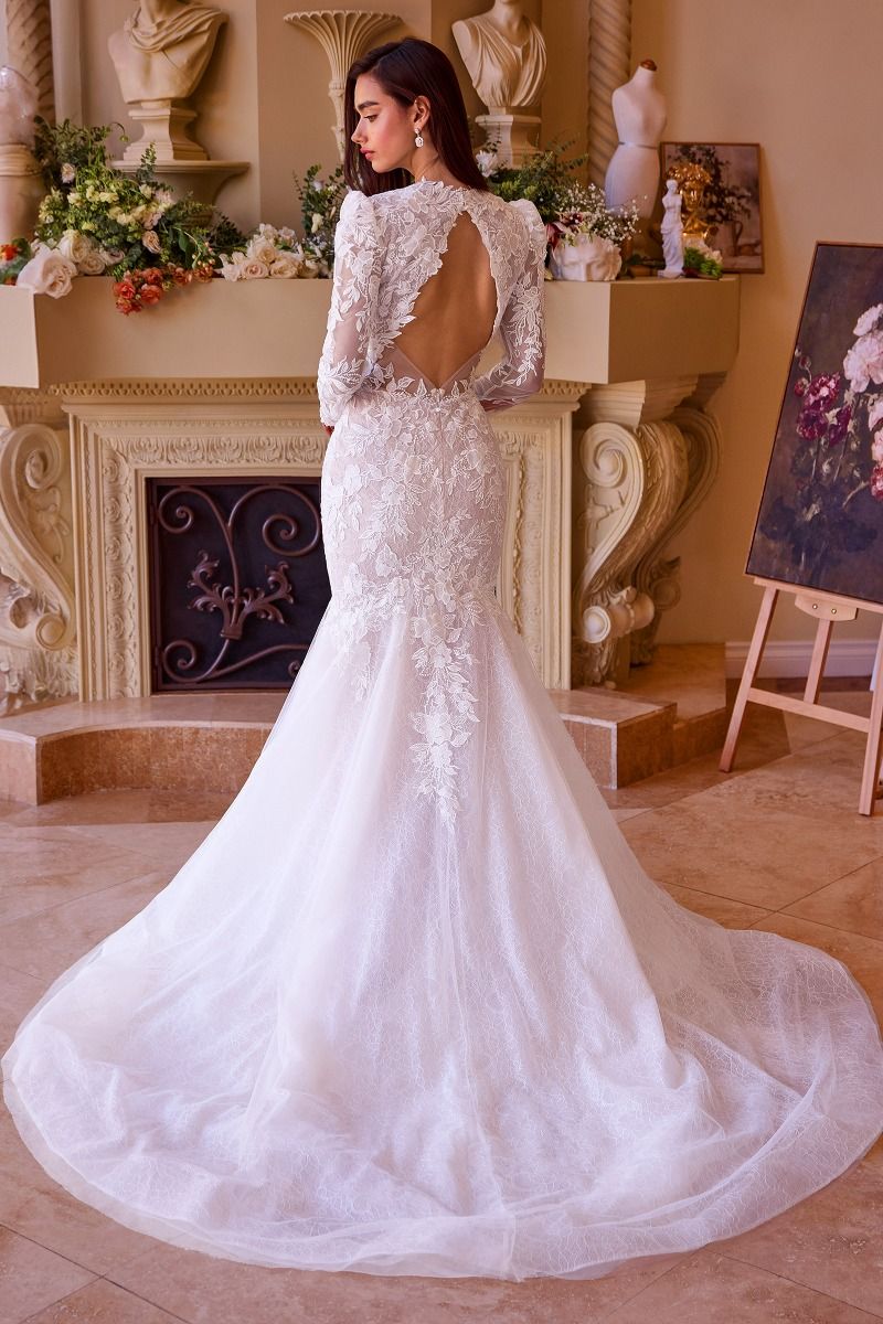 Long Sleeve Lace Mermaid Bridal Gown - Farnelli